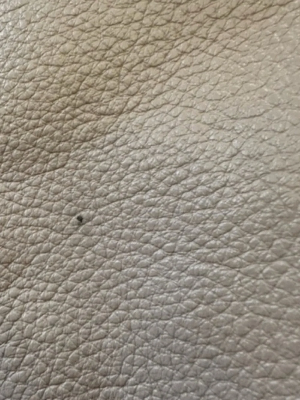 Kate Spade Stone Pebbled Leather Tote with Braided Straps
